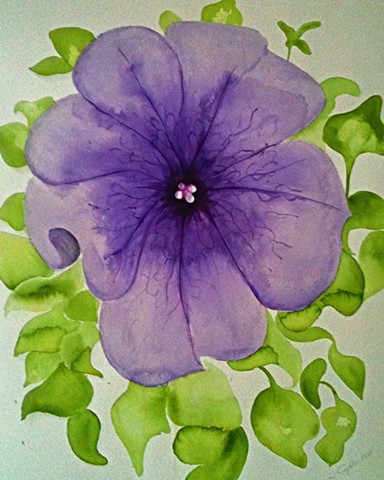 Purple Petunia