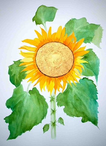 Golden Wish Sunflower 1