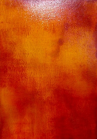 Rebecca Morgan Artist  Painter Australia Perth