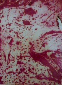 Rebecca Morgan Artist  Painter Australia Perth