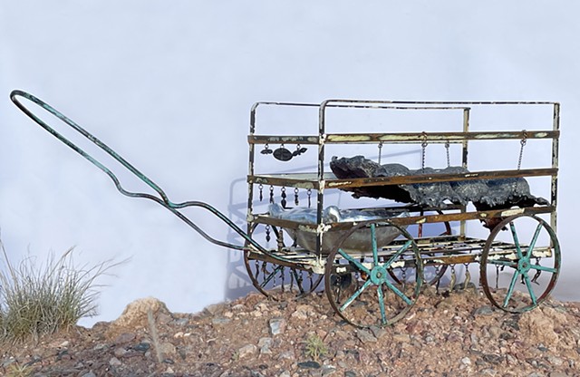 Baby Border Buggy