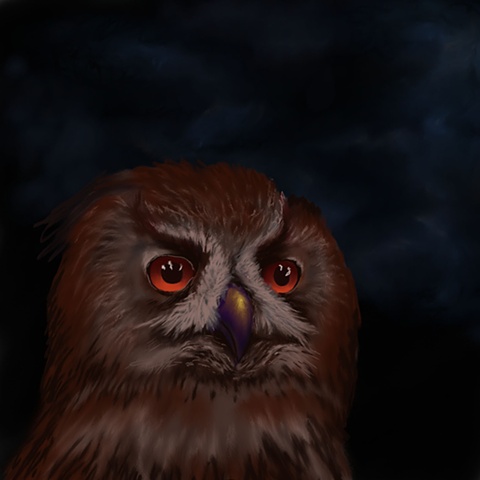 Digital Owl 