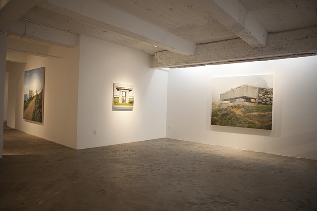 Reclamation installation at Patricia Sweetow Gallery, 2010