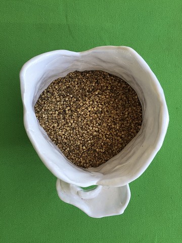 These are Chia Seeds my Mother grew. They will be rolled with clay and thrown at her funeral.