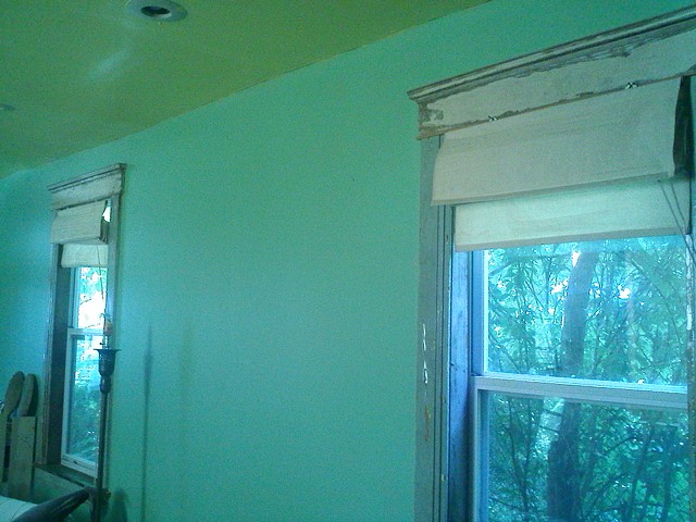 In this study I was trying to match the shades of paint in the room to the light coming through the leaves outside my windows.

