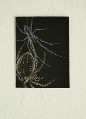 spiders, mezzotint, metal engraving, printmaking
