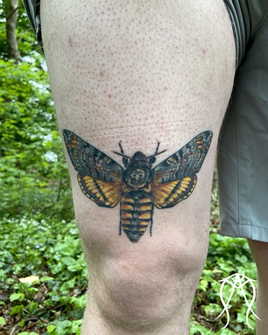 This is a fine line color tattoo of a deaths head moth done by amanda Marie female tattoo artist in central New York 