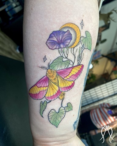 This is Rosy Maple Moth & Morning Glory Tattoo done by Amanda Marie female tattoo artist and witch in her private studio in central New York color moth tattoo with botanical floral plant art 