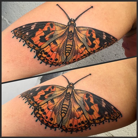 This is a tattoo of a butterfly by amanda marie tattooer done at ace of wands private tattoo studio in san pedro in los angeles california color tattoo 