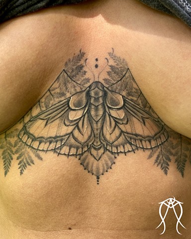 Delicate, black and grey moth and fern nature sternum tattoo done my female tattoo artist and tarot reader Amanda Marie at her private tattoo studio ace of wands tattoo in Scipio center New York near Ithaca 