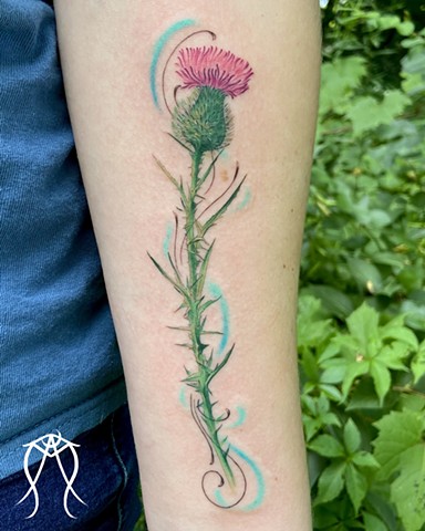 This is a plant spirit color tattoo of a bull thistle flower plant done by female tattoo artist and tarot reader amanda marie at her private tattoo studio in Scipio center New York near Ithaca New York east coast tattoo tarot herbalist witch pagan tattoo 