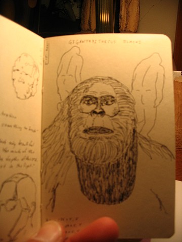 sketchbook drawing pen and ink bigfoot sasquatch Gigantopithecus Blacki