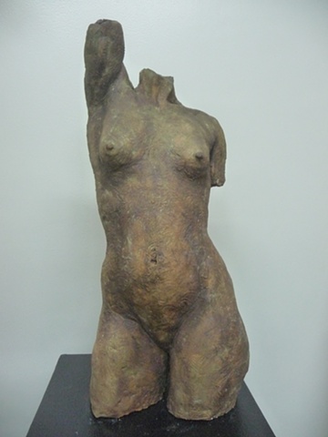 Torso