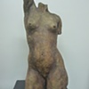 Torso