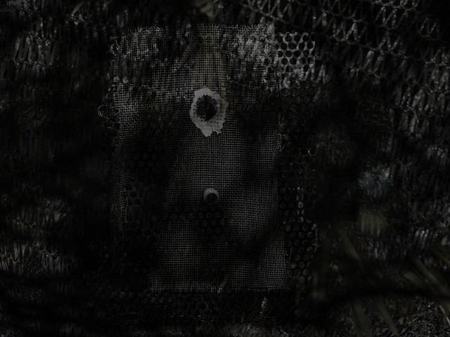 Neither Here Nor There _ 2910