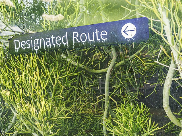 B2_DSC1804 2025