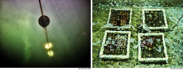 047_B2_1x2-3