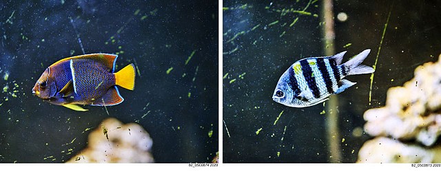041_B2_1x2-4