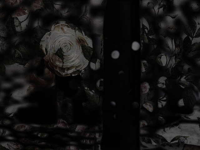 Neither Here Nor There _ 1264