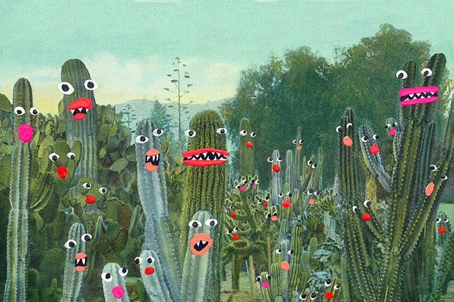 Cactus Garden on Alert