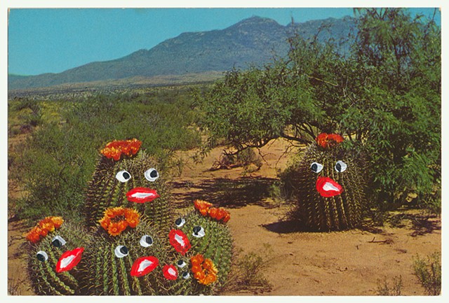 The Frightened Cacti