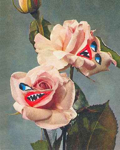 The Angry Roses