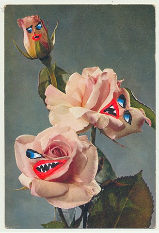 The Angry Roses, 2