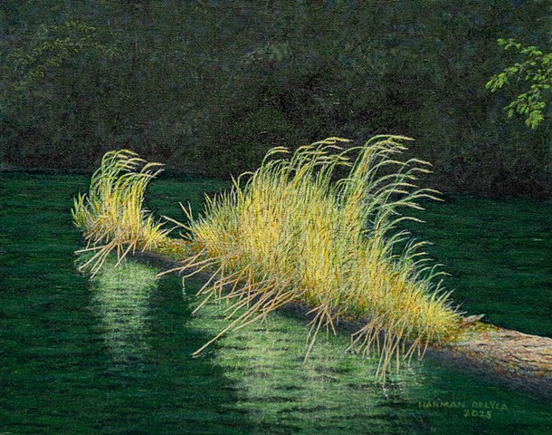 Grass In A Pond #2