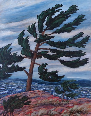 A painting of a wind-swept Jack Pine tree in Killbear Provincial Park near Parry Sound, Ontario, on the shore of Georgian Bay