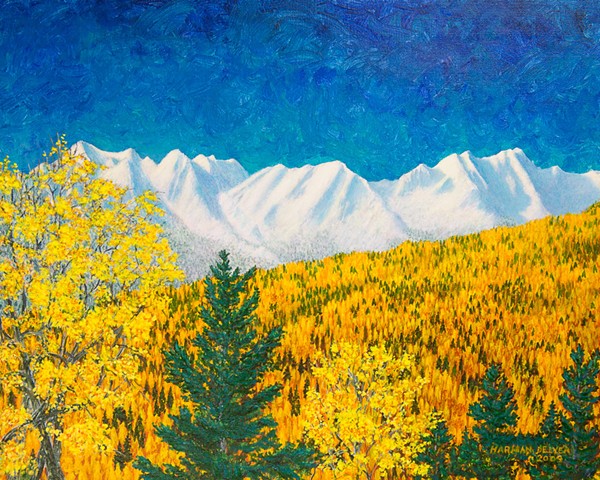 A painting of brilliant yellow aspen and larch / tamarack trees contrast fresh snow on the Lizard Range near Fernie, B.C.