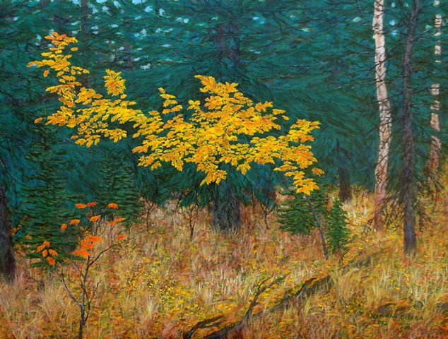 A painting of mountain ash changing colour in the fall, autumn near Fernie, B.C.