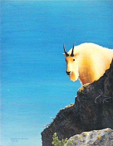 A painting of a mountain goat in the Canadian Rocky Mountains.