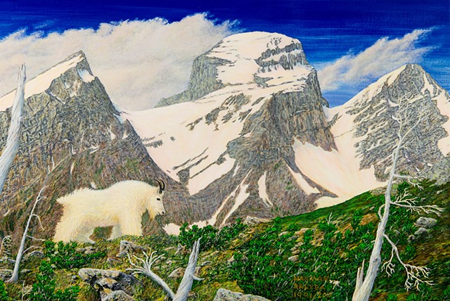 A painting of a mountain goat with the Three Sisters, or Trinity Mountain, at Fernie, B.C. in The Canadian Rocky Mountains.
