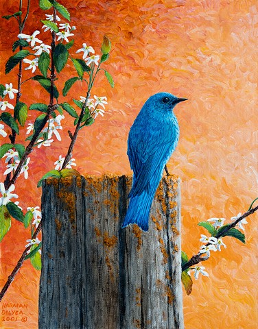 Painting of a Mountain Bluebird in the Canadian Rocky Mountains.