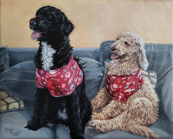 Burma Doodles, dogs, pets, pet portraits, pet art, dog art