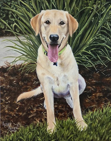 yellow lab, pet portrait, pet painting, dog painting