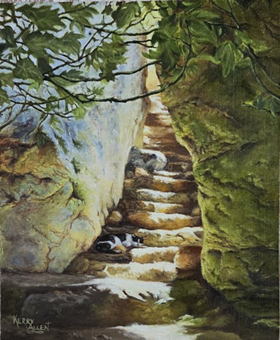 stone stairs, sleeping cat, light and dark, outdoor scene, stone passage