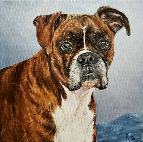 Boxer, Deuce, dog portrait, pet portrait