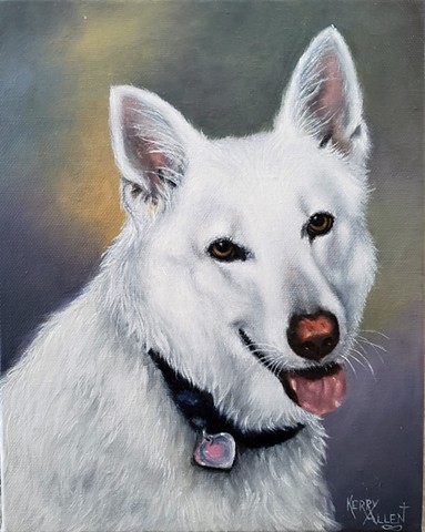 white dog, pet portrait, dog portrait, oil painting, german shephard