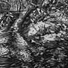 Springtime Creek Charcoal