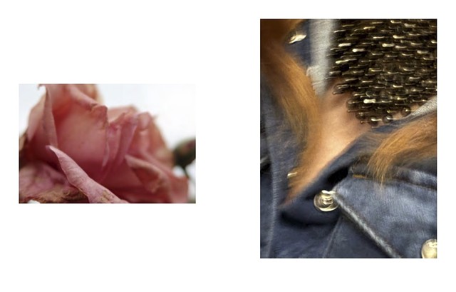 DES EPINES ET DES DENTS | THORNS AND TEETH