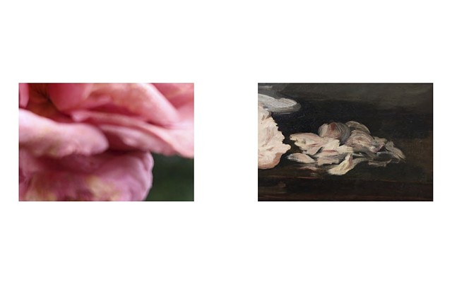FLEURS (1) | FLOWERS (1)