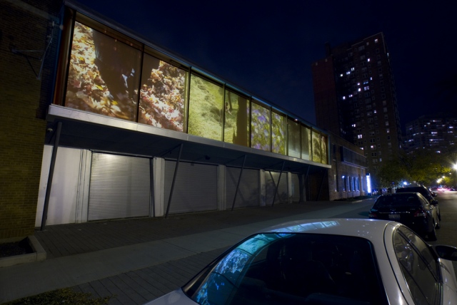 Hyde Park Art Center Chicago video facade exterior