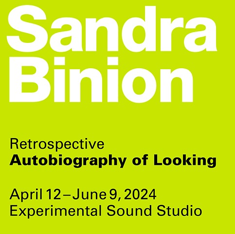 Sandra Binion: Autobiography of Looking