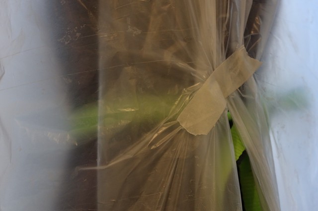 Secured, Duino, 2025