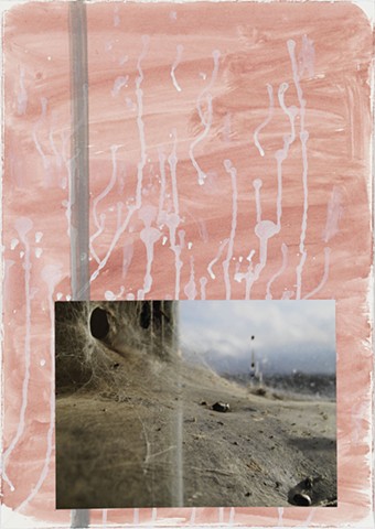 Memento Mori 28 | watercolor, photograph |  48cm x 33cm