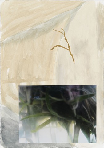 Memento Mori 24 | watercolor, pencil, photograph  |  48cm x 33cm