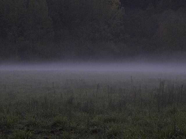 Field in Fog