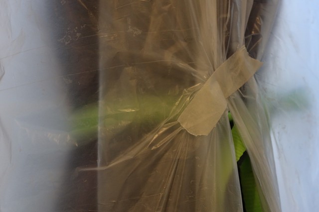 Plus Grand Que Nature / Larger than Life