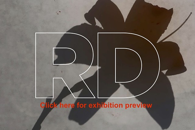 RD Teaser
